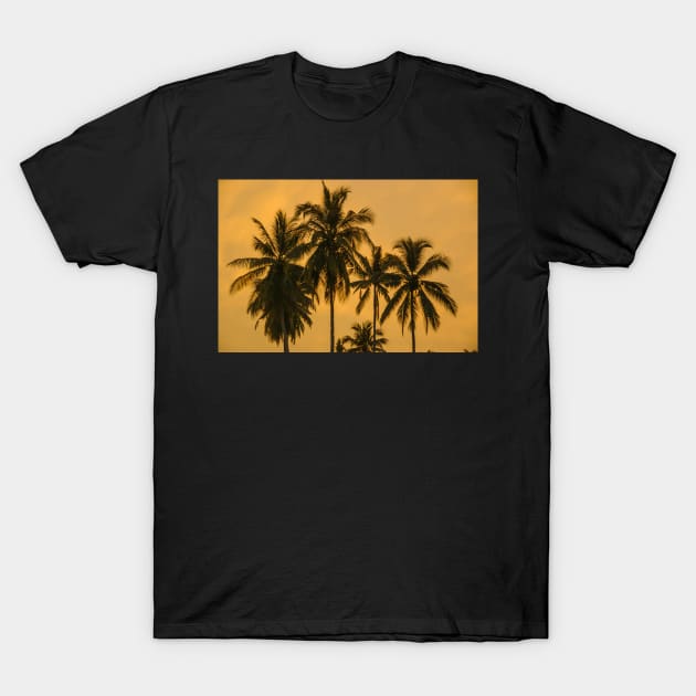 Palms Against an Evening Sky T-Shirt by fotoWerner